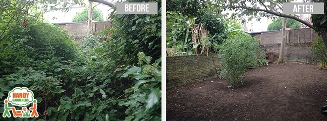 garden maintenance london